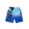ESX360 Blue Athletic Pro Gamer Shorts